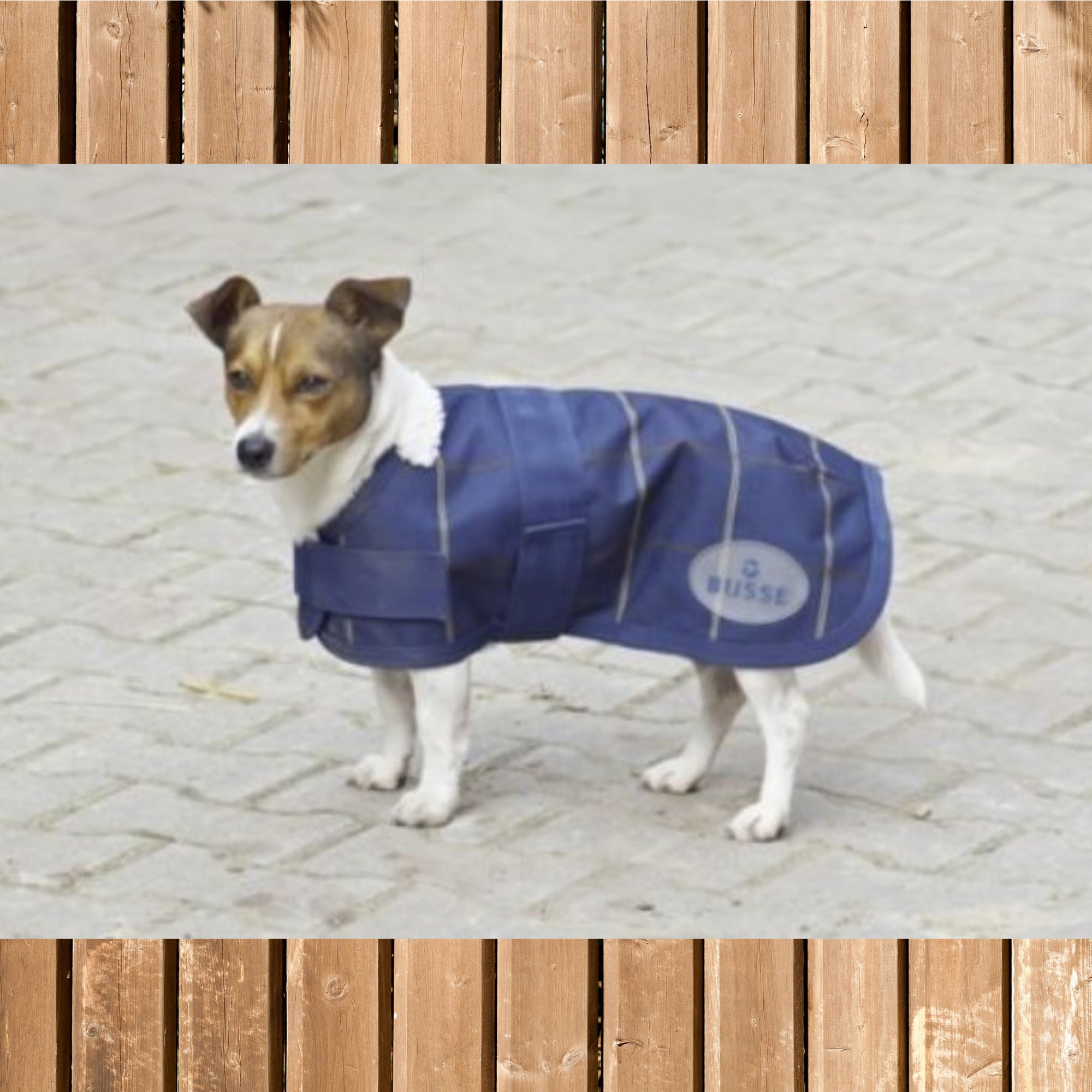 Busse wasserdichte Hundedecke Professional, dark-navy-karo